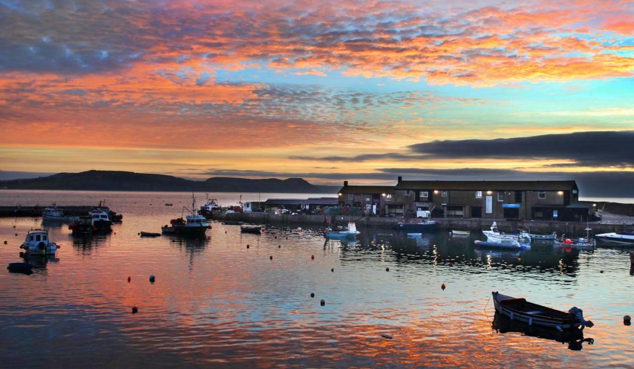 Apartament 4A Dolphin Close Lyme Regis Zewnętrze zdjęcie
